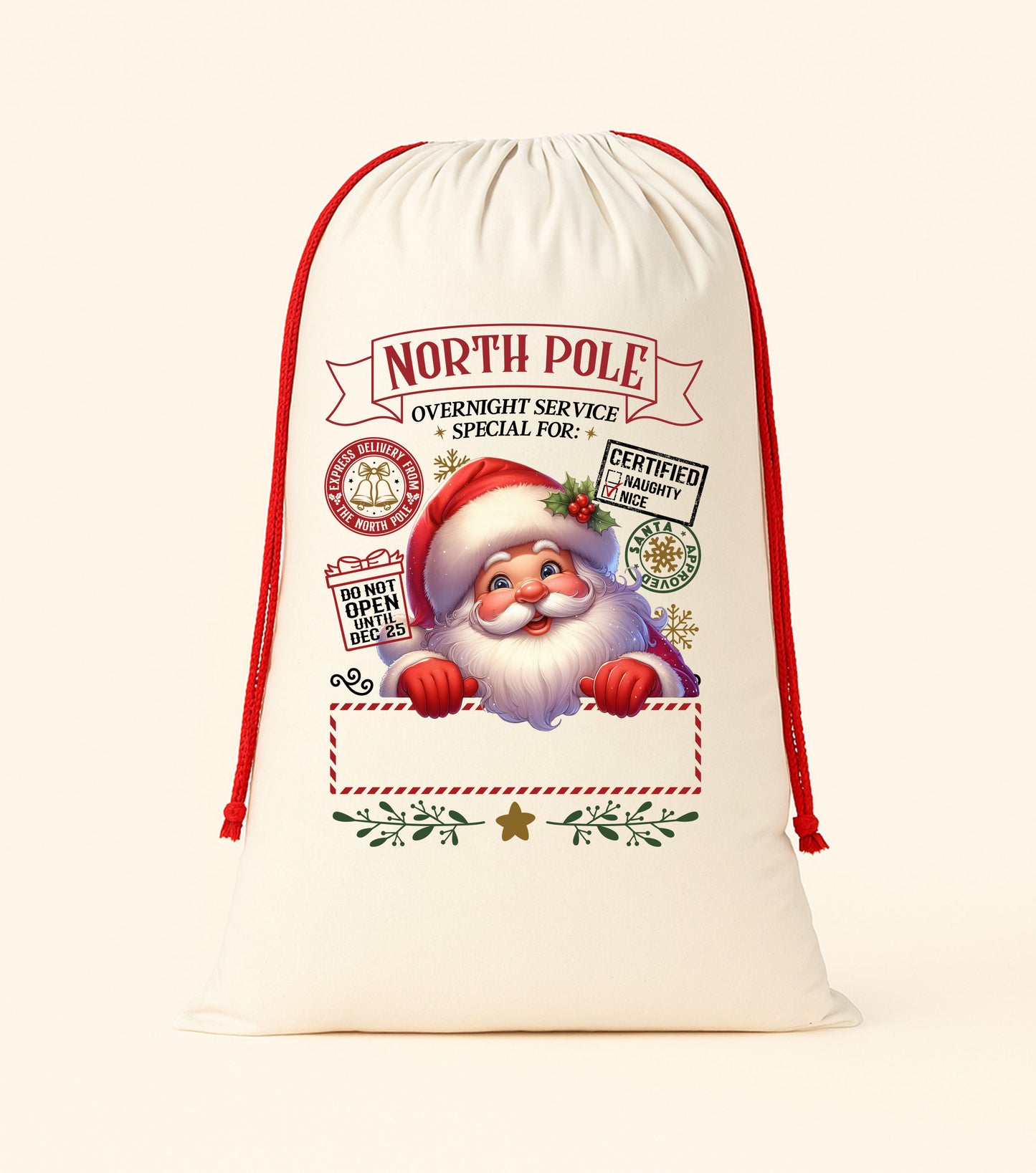 DTF Christmas Santa Sacks