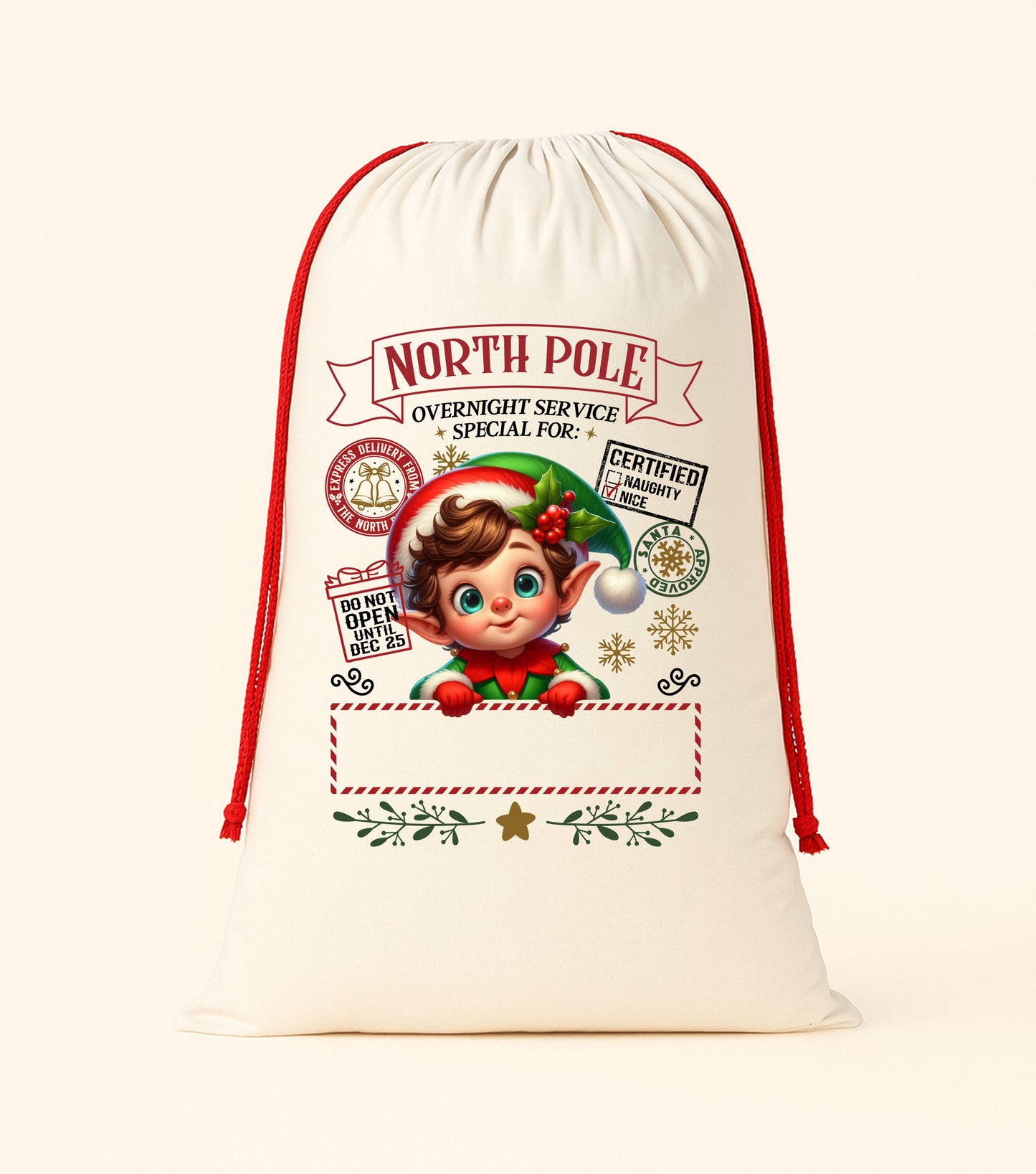 DTF Christmas Santa Sacks